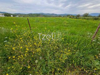 Αγροτεμάχια 6.000 τ.μ. για πώληση