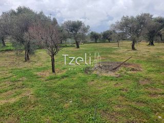 Οικόπεδο 550 τ.μ. για πώληση, Αχαΐα, Μεσσατίδα-thumb-22