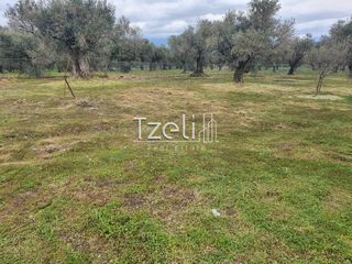 Οικόπεδο 550 τ.μ. για πώληση, Αχαΐα, Μεσσατίδα-thumb-16