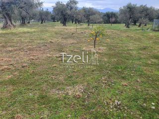 Οικόπεδο 550 τ.μ. για πώληση, Αχαΐα, Μεσσατίδα-thumb-15