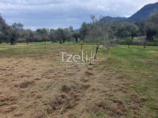 Οικόπεδο 550 τ.μ. για πώληση, Αχαΐα, Μεσσατίδα-thumb-1