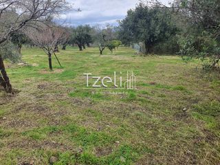 Οικόπεδο 550 τ.μ. για πώληση, Αχαΐα, Μεσσατίδα-thumb-29
