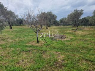 Οικόπεδο 550 τ.μ. για πώληση, Αχαΐα, Μεσσατίδα-thumb-12