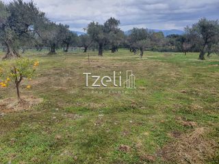 Οικόπεδο 550 τ.μ. για πώληση, Αχαΐα, Μεσσατίδα-thumb-19