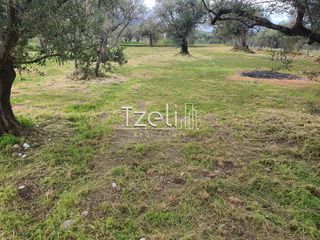 Οικόπεδο 550 τ.μ. για πώληση, Αχαΐα, Μεσσατίδα-thumb-18