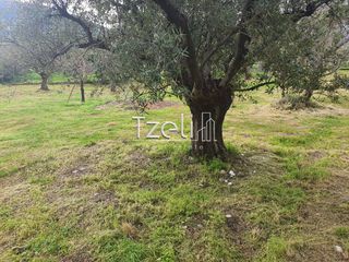 Οικόπεδο 550 τ.μ. για πώληση, Αχαΐα, Μεσσατίδα-thumb-14