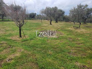Οικόπεδο 550 τ.μ. για πώληση, Αχαΐα, Μεσσατίδα-thumb-10