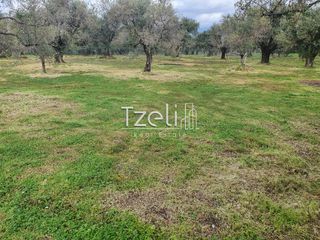 Οικόπεδο 550 τ.μ. για πώληση, Αχαΐα, Μεσσατίδα-thumb-30