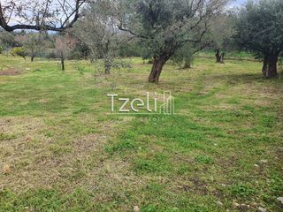 Οικόπεδο 550 τ.μ. για πώληση, Αχαΐα, Μεσσατίδα-thumb-25