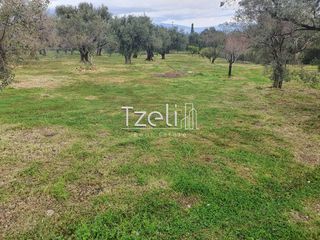 Οικόπεδο 550 τ.μ. για πώληση, Αχαΐα, Μεσσατίδα-thumb-28