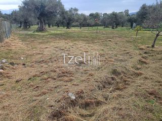 Οικόπεδο 550 τ.μ. για πώληση, Αχαΐα, Μεσσατίδα-thumb-4