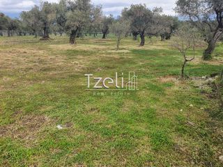 Οικόπεδο 550 τ.μ. για πώληση, Αχαΐα, Μεσσατίδα-thumb-24