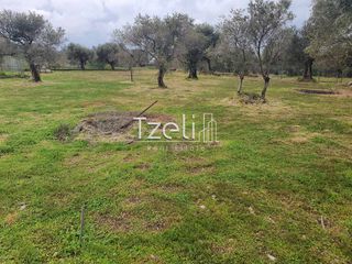 Οικόπεδο 550 τ.μ. για πώληση, Αχαΐα, Μεσσατίδα-thumb-27