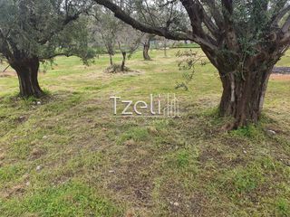 Οικόπεδο 550 τ.μ. για πώληση, Αχαΐα, Μεσσατίδα-thumb-2