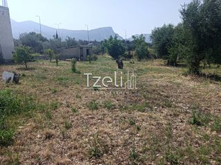 Οικόπεδο 1.000 τ.μ. για πώληση, Αχαΐα, Πάτρα-thumb-26
