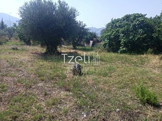 Οικόπεδο 1.000 τ.μ. για πώληση, Αχαΐα, Πάτρα-thumb-28