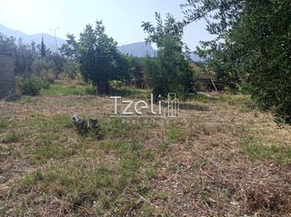 Οικόπεδο 1.000 τ.μ. για πώληση, Αχαΐα, Πάτρα-thumb-22