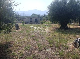 Οικόπεδο 1.000 τ.μ. για πώληση, Αχαΐα, Πάτρα-thumb-20