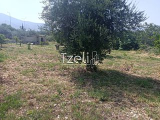 Οικόπεδο 1.000 τ.μ. για πώληση, Αχαΐα, Πάτρα-thumb-32