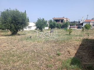 Οικόπεδο 1.000 τ.μ. για πώληση, Αχαΐα, Πάτρα-thumb-18