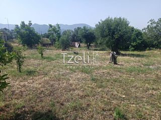 Οικόπεδο 1.000 τ.μ. για πώληση, Αχαΐα, Πάτρα-thumb-29