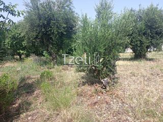 Οικόπεδο 1.000 τ.μ. για πώληση, Αχαΐα, Πάτρα-thumb-12