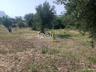 Οικόπεδο 1.000 τ.μ. για πώληση, Αχαΐα, Πάτρα-thumb-24