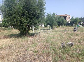 Οικόπεδο 1.000 τ.μ. για πώληση, Αχαΐα, Πάτρα-thumb-3