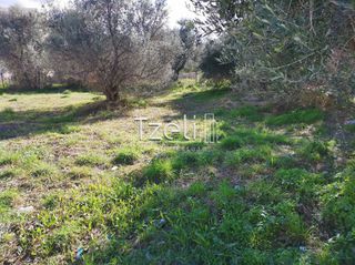 Οικόπεδο 45.522 τ.μ. για πώληση