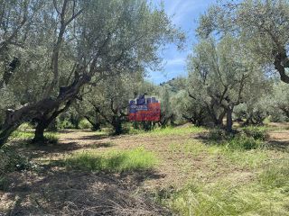 Αγροτεμάχια 4.447 τ.μ. για πώληση