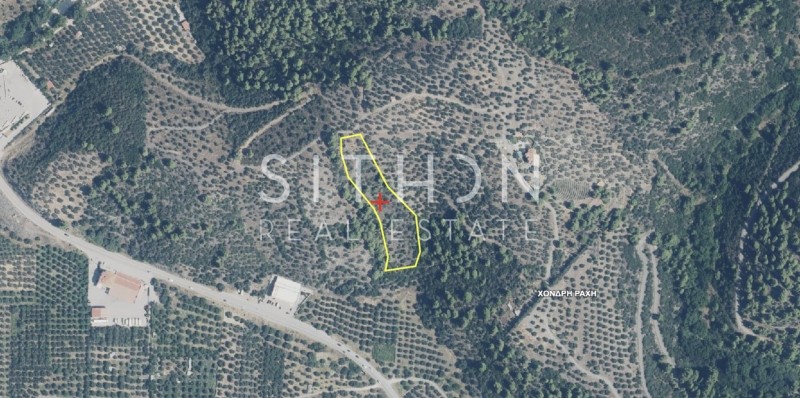 Αγροτεμάχια 6.000 τ.μ. προς πώληση, Νέος Μαρμαράς