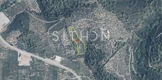 Parcel 6.000 sqm for sale