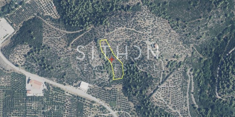 Parcel 6.000 sqm for sale, Chalkidiki, Sithonia