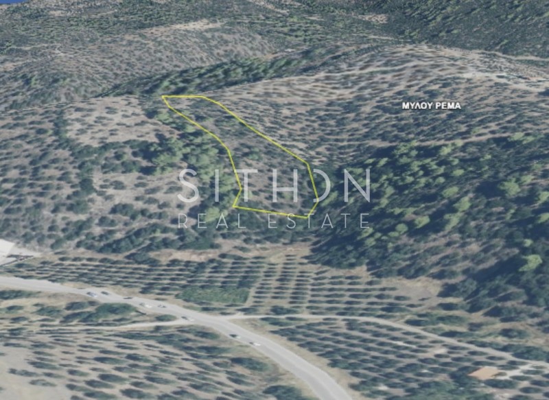 Αγροτεμάχια 6.000 τ.μ. προς πώληση, Νέος Μαρμαράς