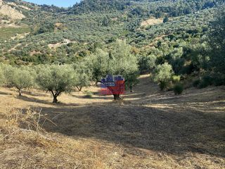 Αγροτεμάχια 14.864 τ.μ. για πώληση, Αχαΐα, Αίγιο-thumb-1