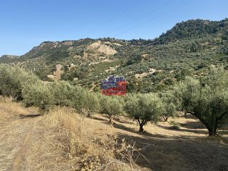 Αγροτεμάχια 14.864 τ.μ. για πώληση, Αχαΐα, Αίγιο-thumb-2