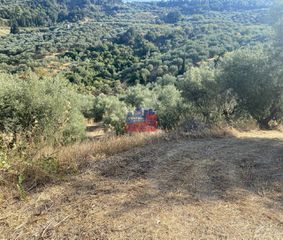 Αγροτεμάχια 14.864 τ.μ. για πώληση, Αχαΐα, Αίγιο-thumb-4
