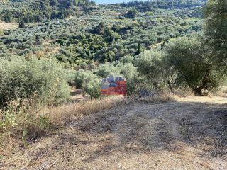 Αγροτεμάχια 14.864 τ.μ. για πώληση, Αχαΐα, Αίγιο-thumb-6