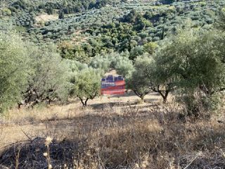 Αγροτεμάχια 14.864 τ.μ. για πώληση, Αχαΐα, Αίγιο-thumb-8