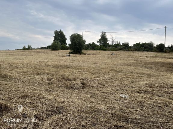 Οικόπεδο 350 τ.μ. για πώληση, Χαλκιδική, Ορμύλια