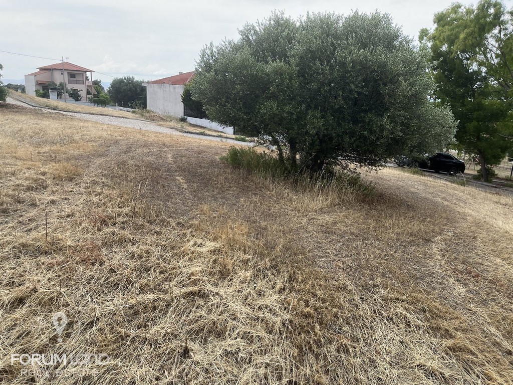 Οικόπεδο 350 τ.μ. προς πώληση, Μεταμόρφωση Ορμύλιας