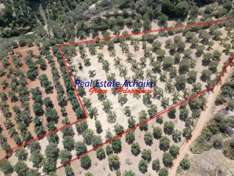 Αγροτεμάχια 8.600τ.μ. για πώληση-Αιγιάλεια » Δημητρόπουλο