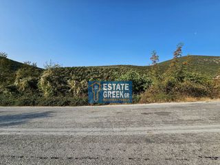 Αγροτεμάχια 5.824 τ.μ. για πώληση, Ν. Καβάλας, Καβάλα-thumb-10
