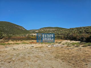 Αγροτεμάχια 5.824 τ.μ. για πώληση, Ν. Καβάλας, Καβάλα-thumb-5