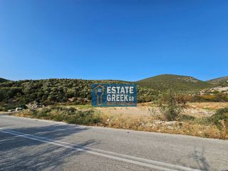 Αγροτεμάχια 5.824 τ.μ. για πώληση, Ν. Καβάλας, Καβάλα-thumb-19