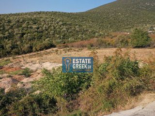 Αγροτεμάχια 5.824 τ.μ. για πώληση, Ν. Καβάλας, Καβάλα-thumb-21