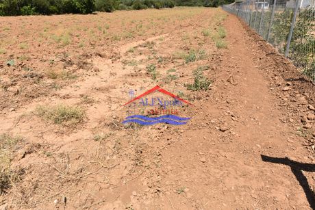 Αγροτεμάχια 8.285τ.μ. για πώληση-Αλεξανδρούπολη » Παλαγία