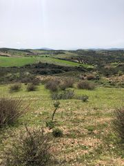 Αγροτεμάχια 10.700 τ.μ. για πώληση, Εύβοια, Αυλώνα-thumb-1
