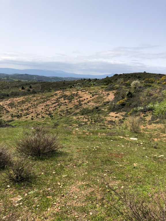 Αγροτεμάχια 10.700 τ.μ. πρός πώληση, Εύβοια, Αυλώνα