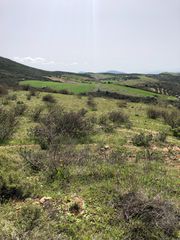 Αγροτεμάχια 10.700 τ.μ. για πώληση, Εύβοια, Αυλώνα-thumb-6